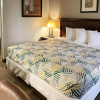 Отель Rodeway Inn Wytheville near I-77 and I-81, фото 3