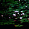 Отель Qianshan Holiday Hotel, фото 18