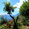 Отель Amalfi View Cottage, фото 4