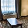 Отель Holiday Inn Exp Stes Spruce Gr, фото 27