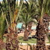 Отель Mediterranee Thalasso Golf (PXM3) Hammamet , фото 36
