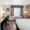 Отель Econo Lodge Inn & Suites, фото 40