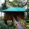 Отель Treehouse With Wi-Fi In Munnar, By Guesthouser 10760, фото 9