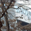 Отель RomPromo Plus Accommodation в Бухаресте