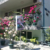 Отель Nely Family Hotel, фото 9
