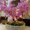 Отель Ninh Chu Hotel, фото 14