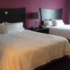 Отель Hampton Inn & Suites Buffalo Airport в Чиктоуага