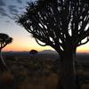 Отель Namib's Valley Lodge, фото 18