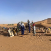 Отель Riad Les Jardins De Merzouga, фото 17