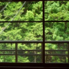 Отель Kamigoten Ryokan, фото 6