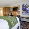 Отель Comfort Inn Raleigh Midtown, фото 4