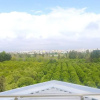 Отель Melda Palace, фото 13