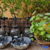 Отель Lansheng Inn, фото 5
