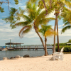 Отель Coconut Palm Inn, фото 22