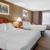 Отель Quality Inn & Suites, фото 41