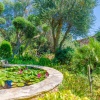 Отель CAS CONCO - Traditional Majorcan house with private pool and luxuriant garden. Free WiFi, фото 36