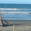 Отель Beachfront Views, фото 13