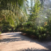 Отель Palm Payom Village Resort, фото 11