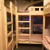 Отель Best Cat Hostel, фото 18