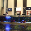 Отель Radisson Blu Hotel Mersin, фото 2