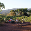Отель Crater Forest Tented Lodge, фото 11