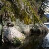 Отель Fiordland Discovery, фото 11