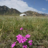 Отель My Mongolia Eco Ger Camp, фото 26