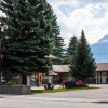 Отель Swiss Chalet Motel, фото 1