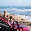 Отель Carambola Surf House, фото 6