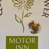 Отель Quirindi Sunflower Motor Inn, фото 1