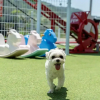 Отель Gyeongju Joypoolvilla&kidspension, фото 12