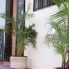 Отель Casa Amaya, фото 1