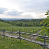 Отель Agriturismo Oliviera, фото 10