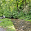 Отель Brookshore by Avantstay Relaxing Backyard Creek, 10mins From Pigeon Forge, фото 8