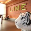 Отель Lime Resort Myoko, фото 20