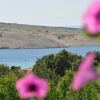 Отель Bela - sea View - A2, фото 4