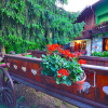 Отель Villa Miris Dunja, фото 3
