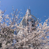 Отель Abant Shizuoka, фото 11
