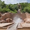 Отель Bush Bungalows At Sun City Resort, фото 23