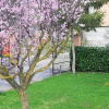 Отель Residenza Fabiola A Gubbio, фото 8