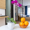 Отель Lemon Tree Boutique Hotel, фото 20