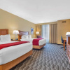 Отель Best Western Plus Swiss Chalet Hotel & Suites, фото 5