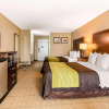 Отель Comfort Inn & Suites Little Rock, фото 4