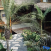 Отель Yangheguang Yinshe Courtyard (Dali Ancient City), фото 11