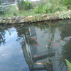Отель Yifeicui Villa Hotel Tengchon, фото 1