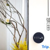 Отель Yitian Hotel (Xiamen Railway Station Lianhua Metrokou Store), фото 7