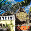 Отель Beachfront Palapa In El Cuyo, Best Views, фото 20