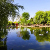 Отель Sandıklı Thermal Park Resort Spa & Convention Center, фото 35