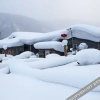 Отель Yabuli Guandong Inn, фото 4
