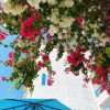 Отель Blue Anchor Lodge & Cafe-Binh Ba Island, фото 11
